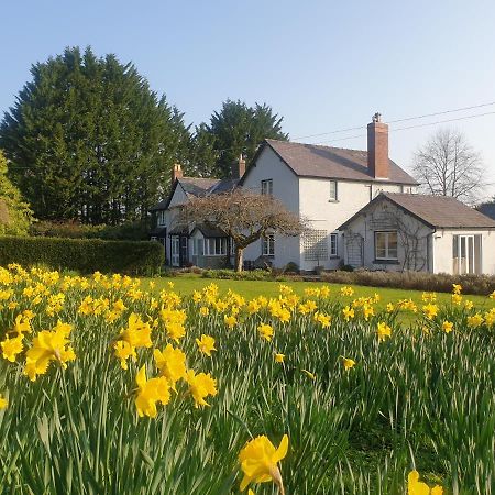 Lower House B&B Adforton Leintwardine Екстериор снимка