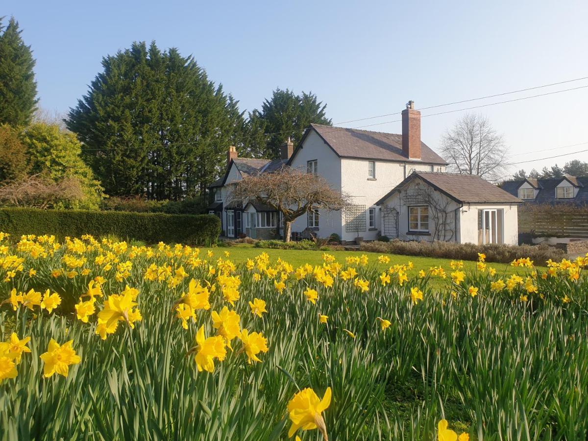 Lower House B&B Adforton Leintwardine Екстериор снимка